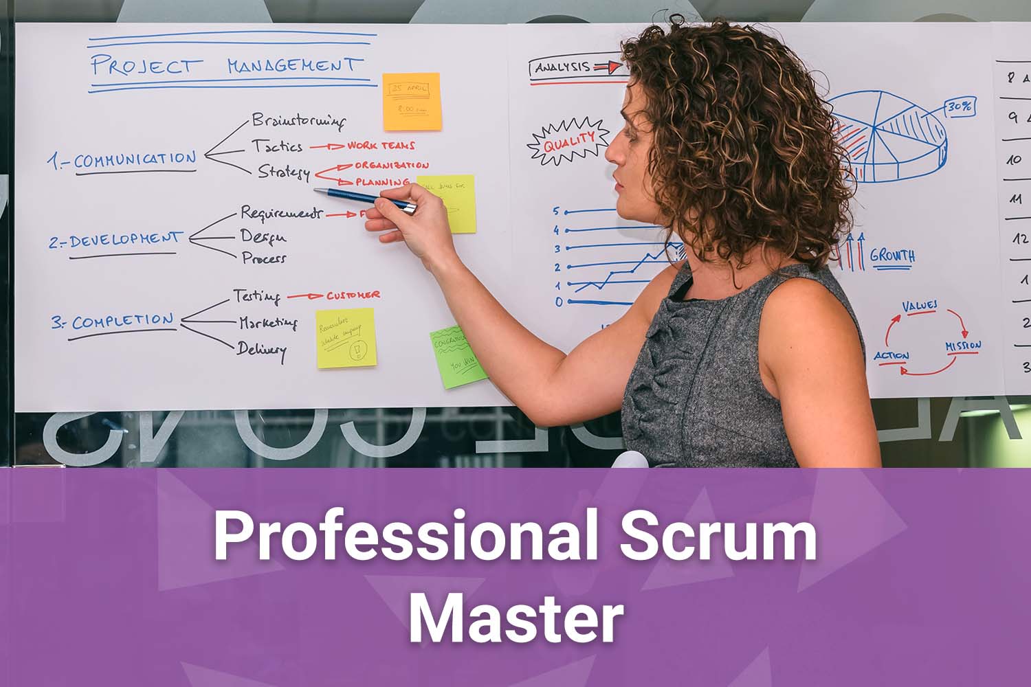 Professional Scrum Master