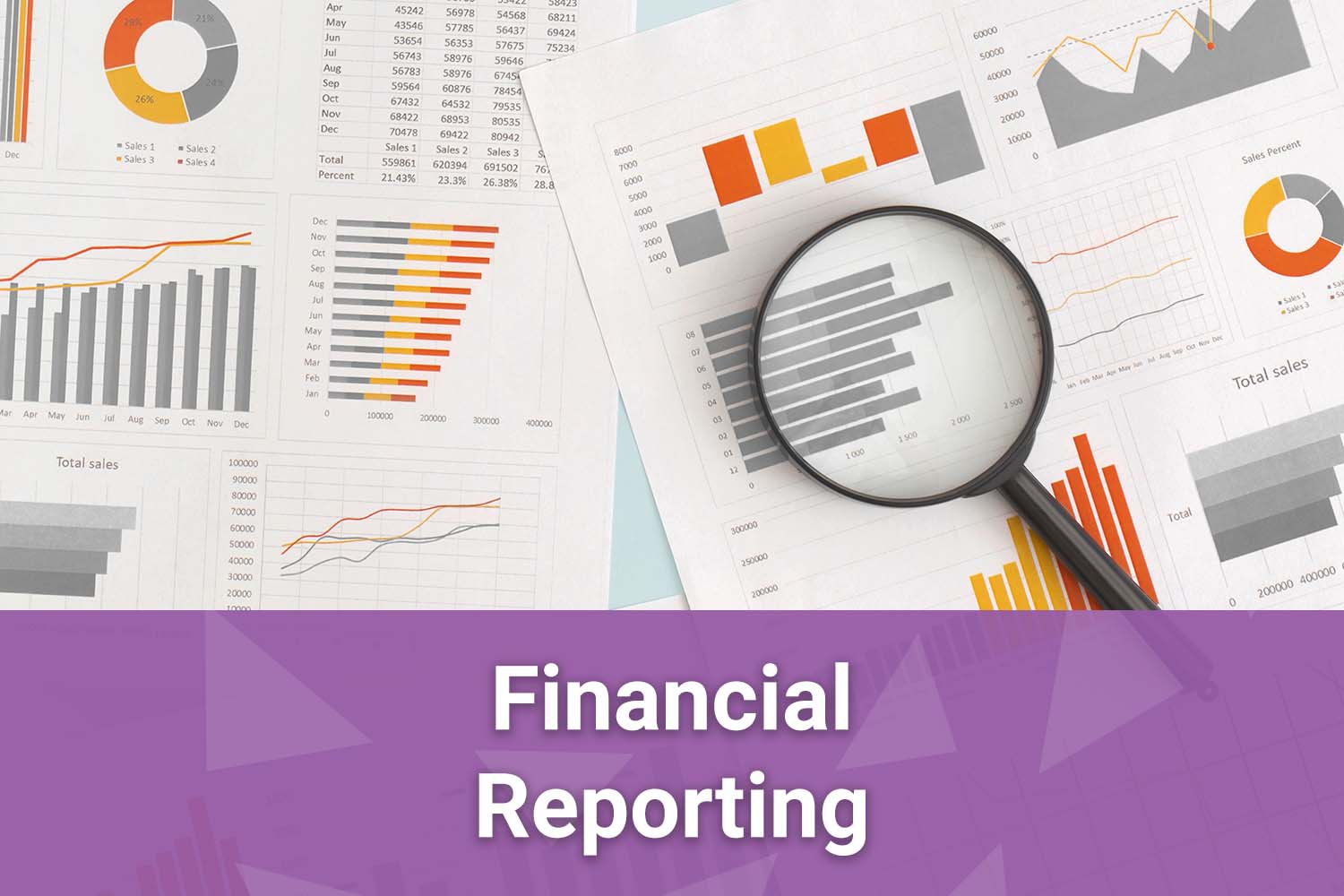 Financial Reporting